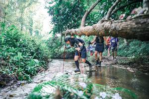 BIB: 
                            <button type="button" onclick="openModal(25451768)" class="btn btn-primary btn-sm float-right btn-popup" data-toggle="modal" data-target=".modal-high-quality">
                        <i class="fas fa-shopping-cart"></i> Add to Cart
                    </button>
                                            <button type="button" onclick="isThisMe(25451768, true)" class="btn btn-success btn-sm float-right btn-popup btn-isme hidden" data-toggle="tooltip" data-placement="bottom" title="นี่คือรูปของคุณใช่ไหม คลิกที่นี่เพื่อเอาเข้าอัลบั้ม">
                        <i class="fas fa-plus"></i> Add to album
                    </button>
                    <button type="button" onclick="isThisMe(25451768, false)" class="btn btn-warning btn-sm float-right btn-popup btn-isnotme hidden">
                        <i class="fas fa-ban"></i> Remove from album
                    </button>